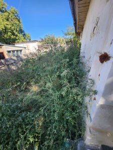 Se prăbuşeşte o parte însemnată din identitatea noastră naţională!