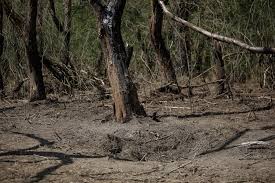 Războiul de la graniţă ne reaminteşte de sistemul Patriot donat